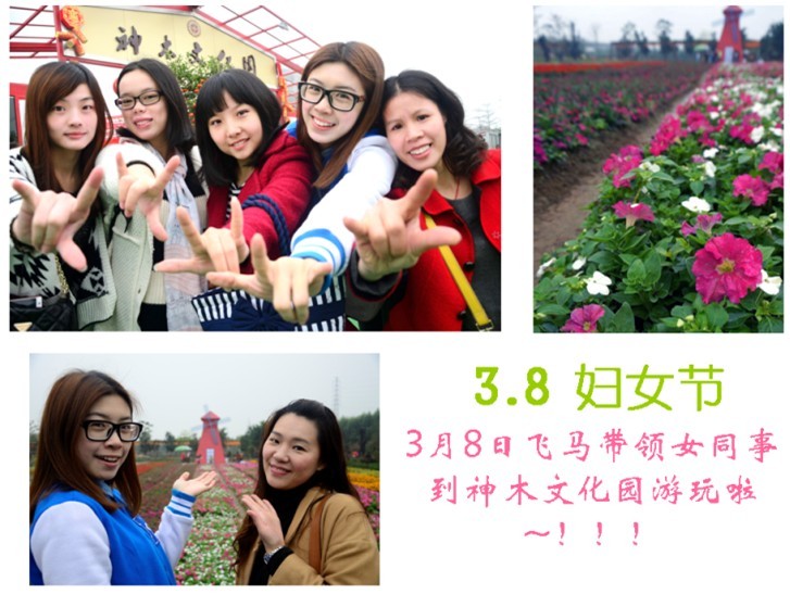 3.8 婦女節(jié)